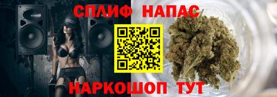 крисы Сланцы