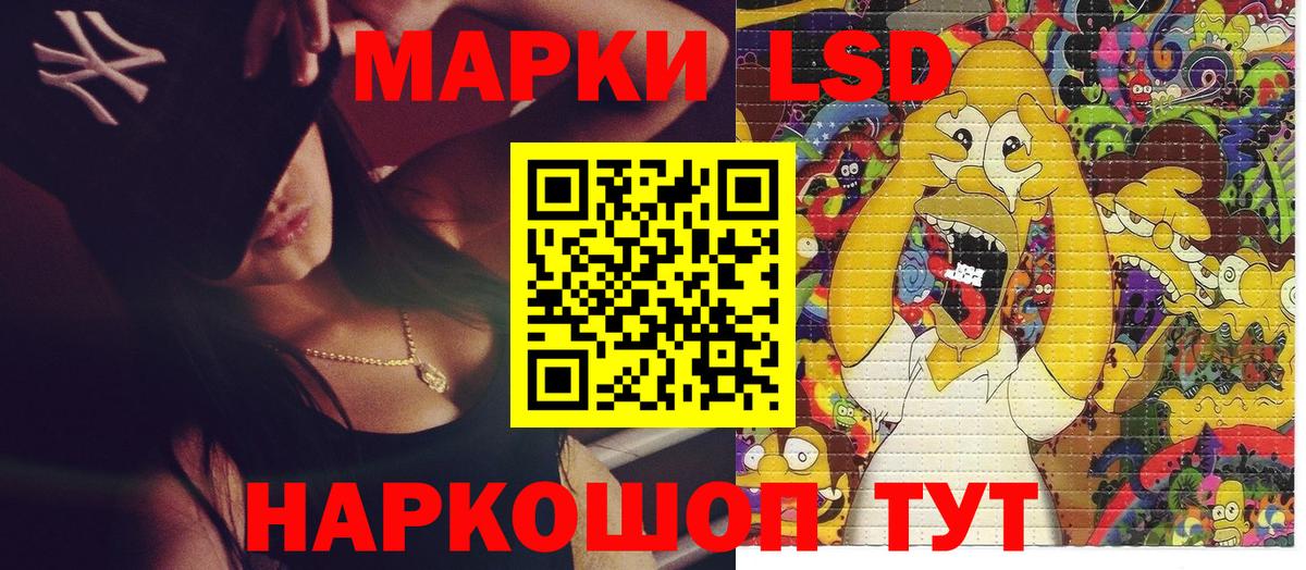 Наркотические марки  Наркотические марки 1500мкг  Вход с VPN  Бердск 
