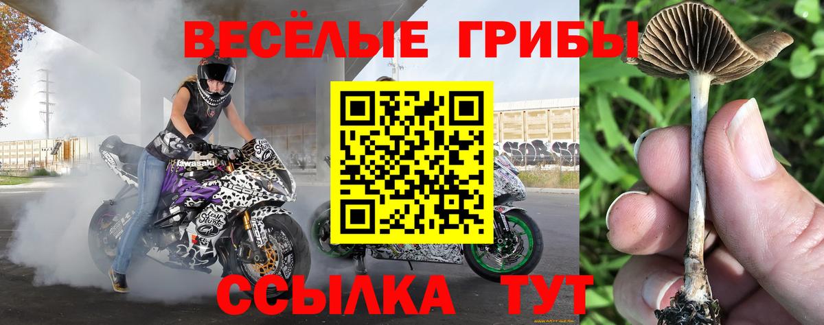 Псилоцибиновые грибы MAGIC MUSHROOMS Бердск