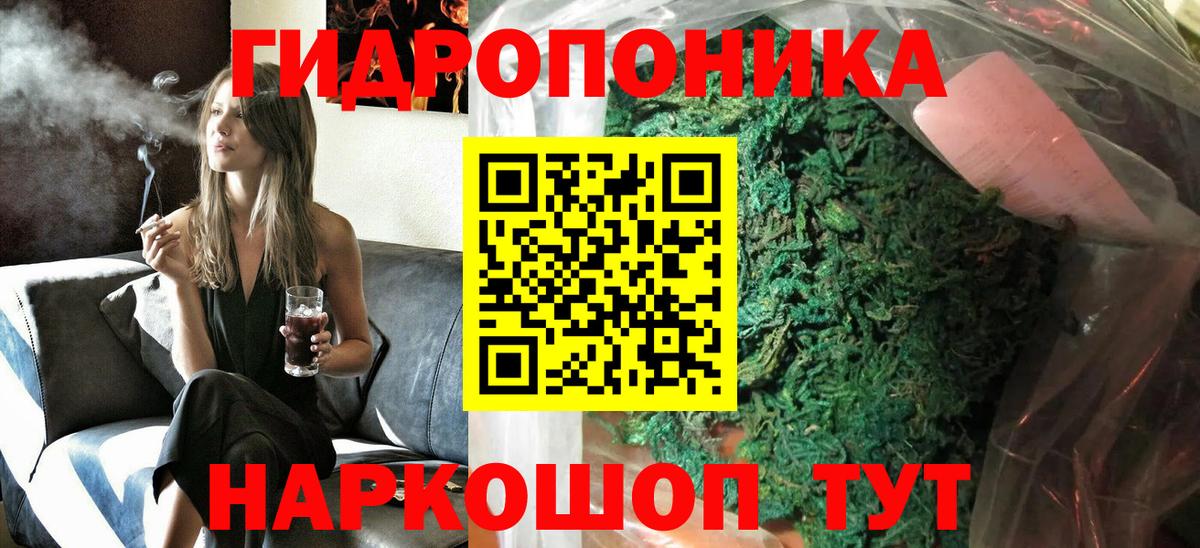 Бердск  Шишки марихуана семена  Вход с VPN  Бошки марихуана Amnesia 